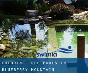 Chlorine Free Pools in Blueberry Mountain