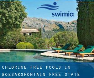 Chlorine Free Pools in Boesaksfontain (Free State)