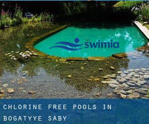 Chlorine Free Pools in Bogatyye Saby