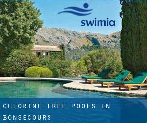 Chlorine Free Pools in Bonsecours