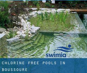 Chlorine Free Pools in Boussoure