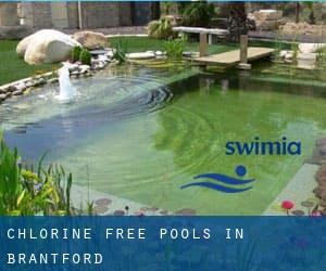 Chlorine Free Pools in Brantford