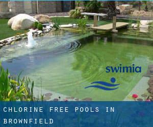 Chlorine Free Pools in Brownfield