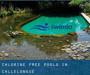 Chlorine Free Pools in Callelongue