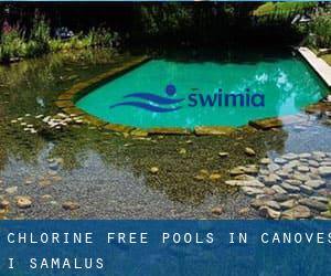 Chlorine Free Pools in Cànoves i Samalús