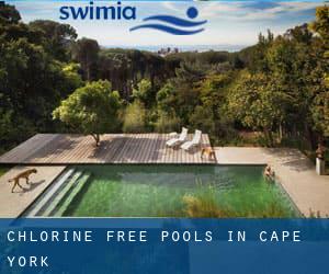 Chlorine Free Pools in Cape York