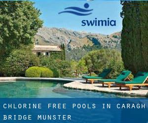 Chlorine Free Pools in Caragh Bridge (Munster)