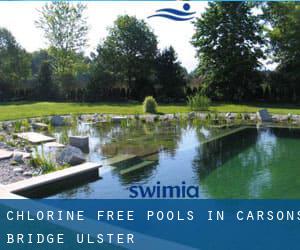 Chlorine Free Pools in Carsons Bridge (Ulster)