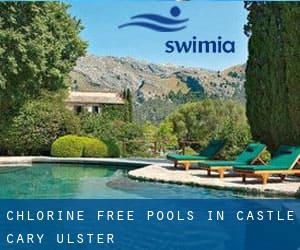 Chlorine Free Pools in Castle Cary (Ulster)