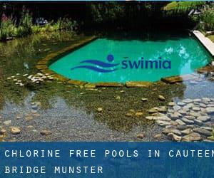 Chlorine Free Pools in Cauteen Bridge (Munster)