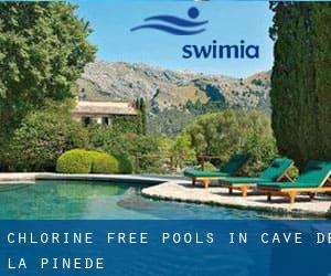 Chlorine Free Pools in Cave de la Pinède