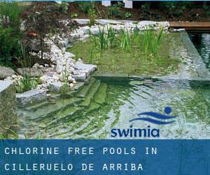 Chlorine Free Pools in Cilleruelo de Arriba