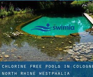 Chlorine Free Pools in Cologne (North Rhine-Westphalia)