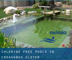 Chlorine Free Pools in Croaghbeg (Ulster)