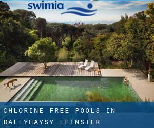 Chlorine Free Pools in Dallyhaysy (Leinster)