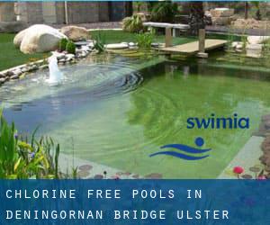 Chlorine Free Pools in Deningornan Bridge (Ulster)