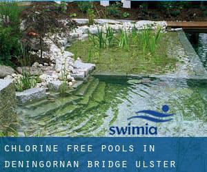 Chlorine Free Pools in Deningornan Bridge (Ulster)