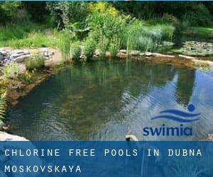 Chlorine Free Pools in Dubna (Moskovskaya)