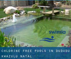 Chlorine Free Pools in Dududu (KwaZulu-Natal)