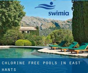 Chlorine Free Pools in East Hants