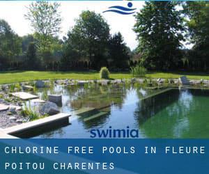 Chlorine Free Pools in Fleuré (Poitou-Charentes)