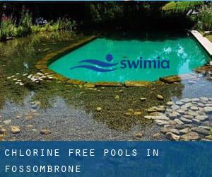 Chlorine Free Pools in Fossombrone