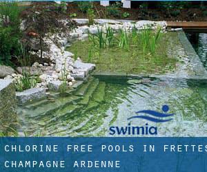 Chlorine Free Pools in Frettes (Champagne-Ardenne)