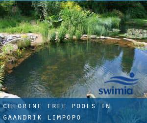 Chlorine Free Pools in Gaandrik (Limpopo)