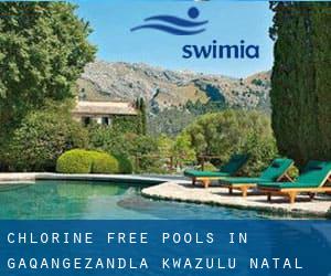 Chlorine Free Pools in Gaqangezandla (KwaZulu-Natal)