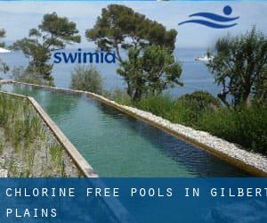 Chlorine Free Pools in Gilbert Plains