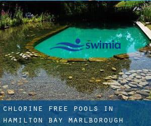 Chlorine Free Pools in Hamilton Bay (Marlborough)