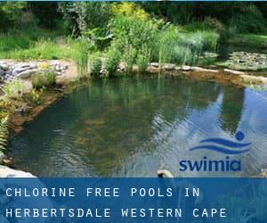 Chlorine Free Pools in Herbertsdale (Western Cape)