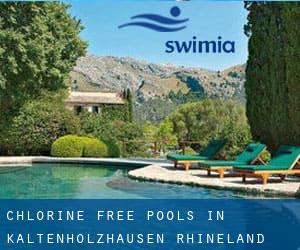 Chlorine Free Pools in Kaltenholzhausen (Rhineland-Palatinate)