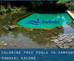 Chlorine Free Pools in Kampong Pangkal Kalong