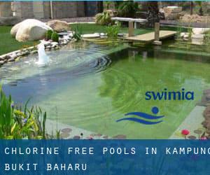 Chlorine Free Pools in Kampung Bukit Baharu