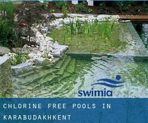 Chlorine Free Pools in Karabudakhkent