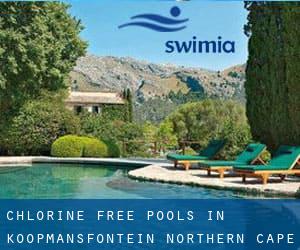 Chlorine Free Pools in Koopmansfontein (Northern Cape)