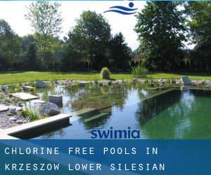 Chlorine Free Pools in Krzeszów (Lower Silesian Voivodeship)