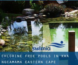 Chlorine Free Pools in Kwa-Ngcamama (Eastern Cape)