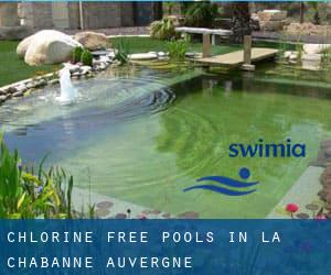 Chlorine Free Pools in La Chabanne (Auvergne)