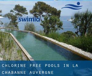 Chlorine Free Pools in La Chabanne (Auvergne)