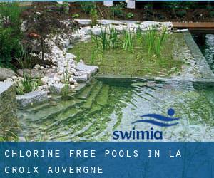 Chlorine Free Pools in La Croix (Auvergne)