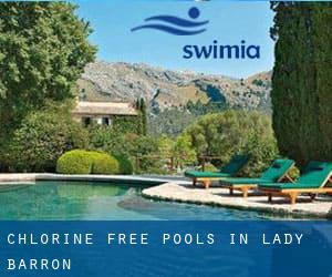 Chlorine Free Pools in Lady Barron