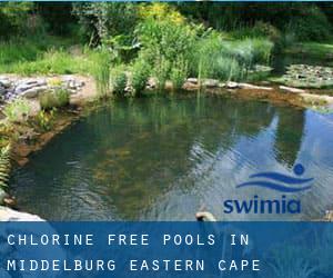 Chlorine Free Pools in Middelburg (Eastern Cape)