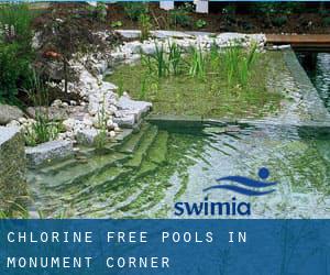 Chlorine Free Pools in Monument Corner