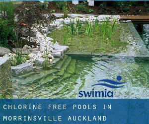 Chlorine Free Pools in Morrinsville (Auckland)