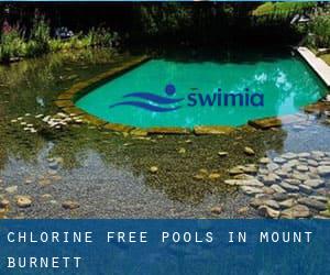 Chlorine Free Pools in Mount Burnett