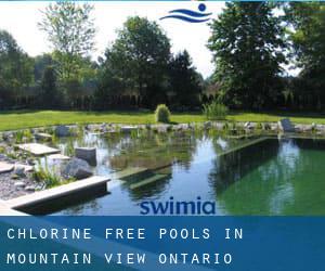 Chlorine Free Pools in Mountain View (Ontario)