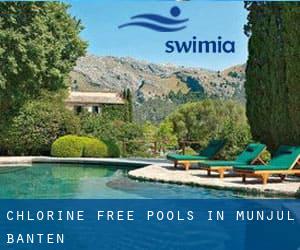 Chlorine Free Pools in Munjul (Banten)