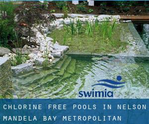 Chlorine Free Pools in Nelson Mandela Bay Metropolitan Municipality